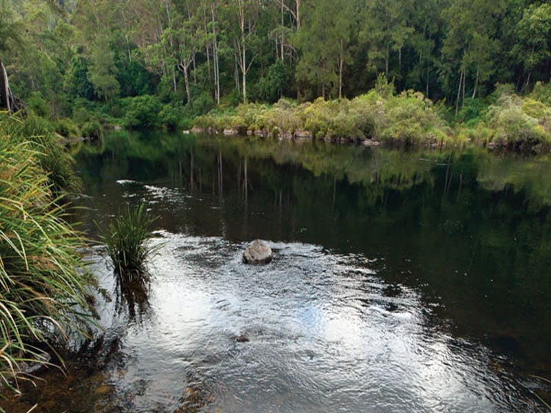 Wild Cattle Creek NSW Accommodation Tasmania