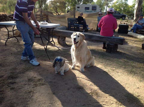 Cunnamulla Tourist Park - Accommodation Tasmania 4