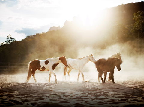 Emirates One&Only Wolgan Valley - Accommodation Tasmania 1