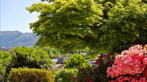 Greatview Holiday Spa Retreat For Couples - Accommodation Tasmania 4