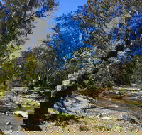 Highfield Farm and Woodland Bush Campsites - Accommodation Tasmania