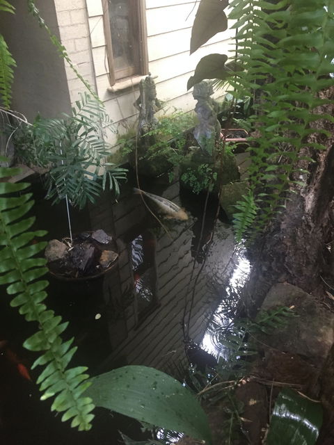HJapartments - Accommodation Tasmania 4