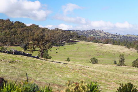 Longview Holiday Let Glenrowan - Accommodation Tasmania 5