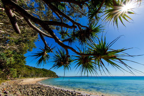 Noosa Caravan Park - Accommodation Tasmania 2