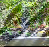 O'Reilly's Rainforest Retreat - Accommodation Tasmania