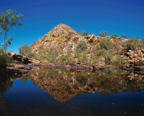 Silent Grove Camp At Wunaamin Miliwundi Ranges Conservation Park - Accommodation Tasmania 0