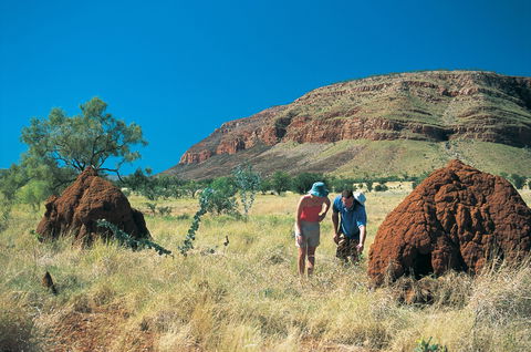 Silent Grove Camp At Wunaamin Miliwundi Ranges Conservation Park - Accommodation Tasmania 3