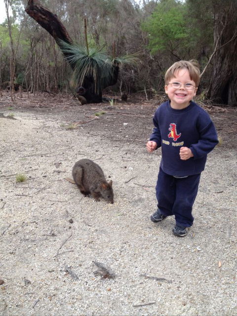 The Patriarch Wildlife Sanctuary Camping Ground - Accommodation Tasmania 1