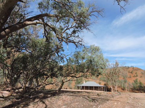 Alpana Station - Accommodation Tasmania 6
