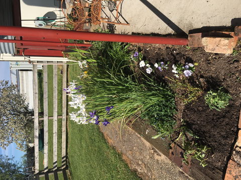 Fairview Bed And Breakfast Cottage - Accommodation Tasmania 2