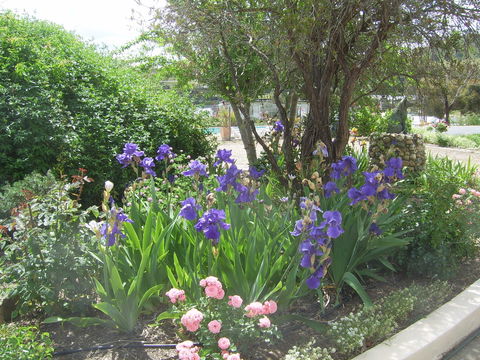 Garden Motor Inn (Golden Chain) - Accommodation Tasmania 7