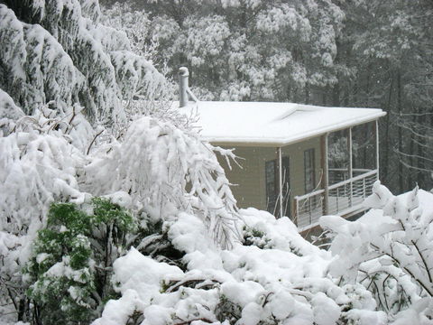 Lyrebird Cottages - Accommodation Tasmania 2