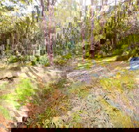 Mackaway Bay campground - Accommodation Tasmania