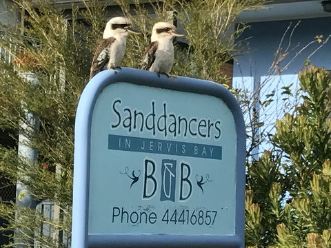 Sanddancers Bed And Breakfast In Jervis Bay - Accommodation Tasmania 1