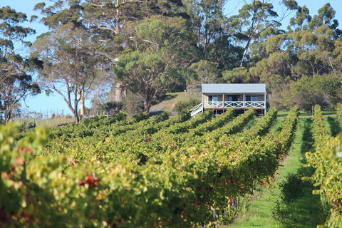 The Sleeping Lady Private Retreat - Accommodation Tasmania 1