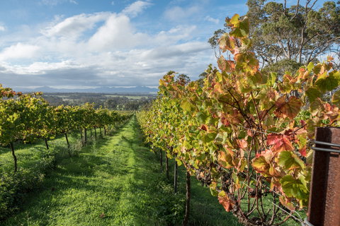 The Sleeping Lady Private Retreat - Accommodation Tasmania 2