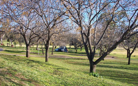 Wellington Caves Caravan Park - Accommodation Tasmania 1