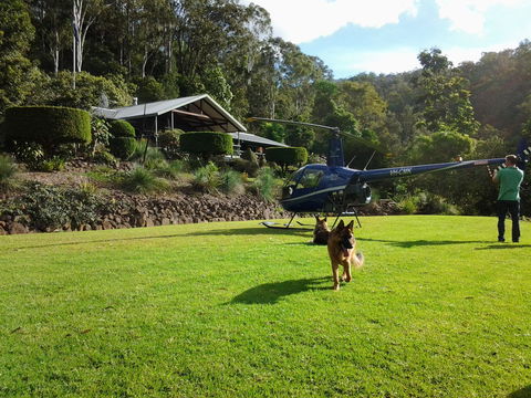 Cougal Park Bed And Breakfast - Accommodation Tasmania 2