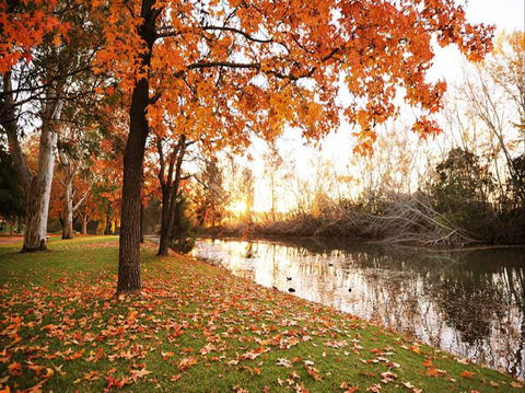 Reflections Holiday Park Cudgegong River - Temporarily Closed - Accommodation Tasmania 1