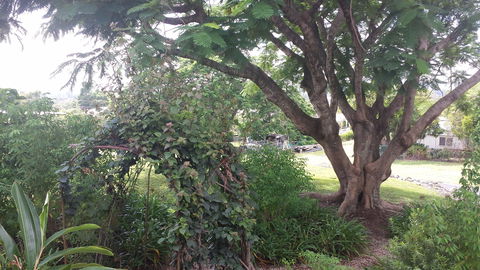 Rosehill Apartments - Accommodation Tasmania 2
