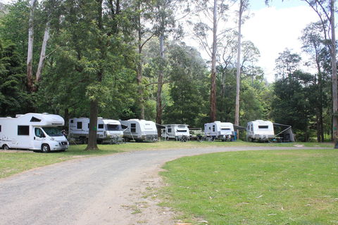 Tarra Valley Caravan Park - Accommodation Tasmania 2