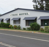 Tree Motel - Accommodation Tasmania