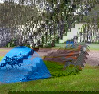 Violet Hill campground and picnic area - Accommodation Tasmania