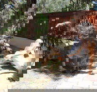 Yelverton Brook Eco Spa Retreat and Conservation Sanctuary - Accommodation Tasmania