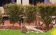 Alpha Canberra Hotel - thumb 0