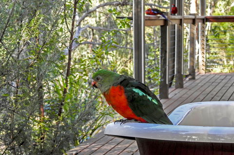 Araluen Park Cottages - Accommodation Tasmania 2