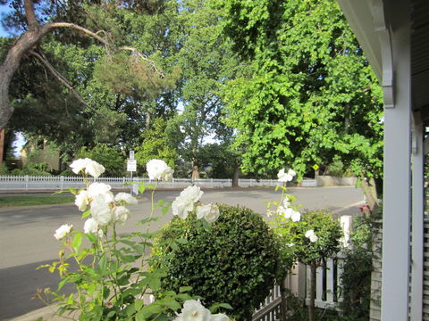 Arendon Cottage - Accommodation Tasmania 1
