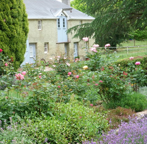 Godolphin Country Accommodation - Accommodation Tasmania 0