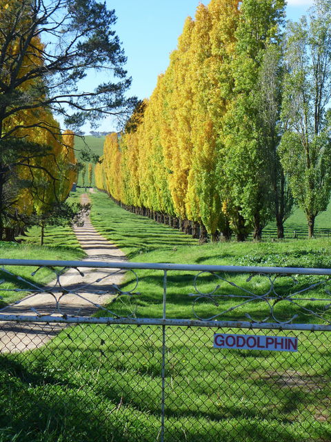 Godolphin Country Accommodation - Accommodation Tasmania 1
