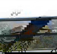 Hatters Hideout Lyres Loft - Accommodation Tasmania