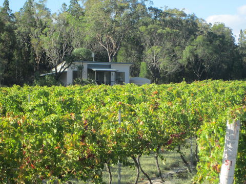 Just Red Wines Vineyard Cabins - Accommodation Tasmania 0