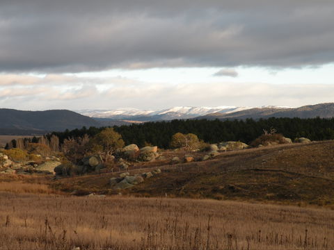 Lachney Cottage - Accommodation Tasmania 1