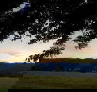 The Cabin at Gentle Annie - Accommodation Tasmania