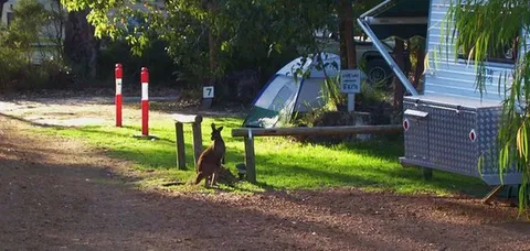 Aroundtu-It Eco Caravan Park - Accommodation Tasmania 5