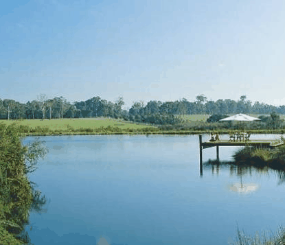 Forest Rise Eco Retreat - thumb 0