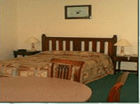 Comfort Inn Treetop Walk - Accommodation Tasmania 3