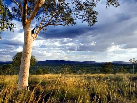 Karijini Eco Retreat - Accommodation Tasmania 5
