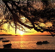 Pelican's Nest - Accommodation Tasmania