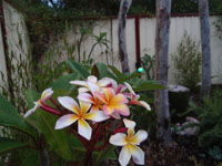 Equal Balance Bed And Breakfast - Accommodation Tasmania 2