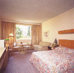 Country Comfort Armidale - Accommodation Tasmania 3