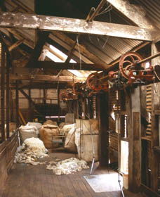 Nallan Station - Accommodation Tasmania 1