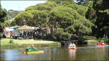 Misty Valley Country Cottages - Accommodation Tasmania 2