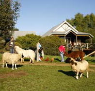 Sunnyhurst Chalets - Accommodation Tasmania