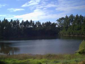 Jenny's Lake Farm B&B - Accommodation Tasmania 5