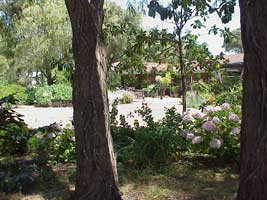 Peaceful Bay Bed And Breakfast - Accommodation Tasmania 0