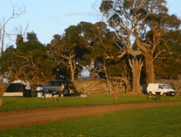 Ayr Sailean - Accommodation Tasmania 5